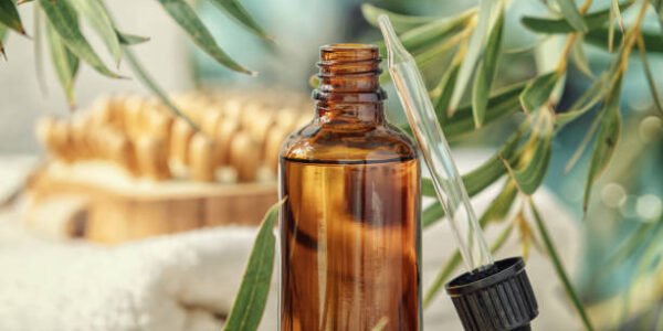 Buy Oil Products Online