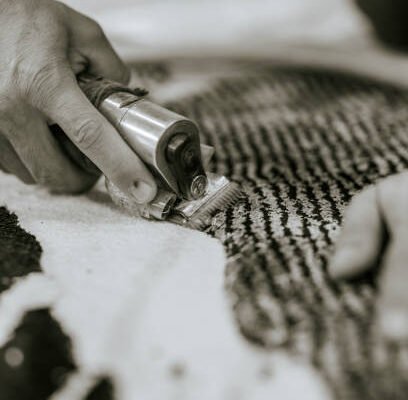 How to Clean a Shark Vacuum