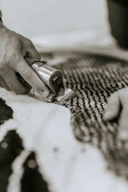 How to Clean a Shark Vacuum