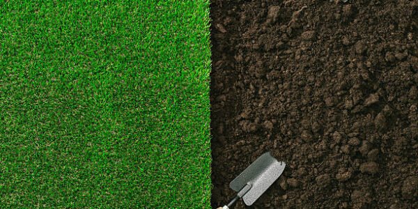 Grow a Garden Layout