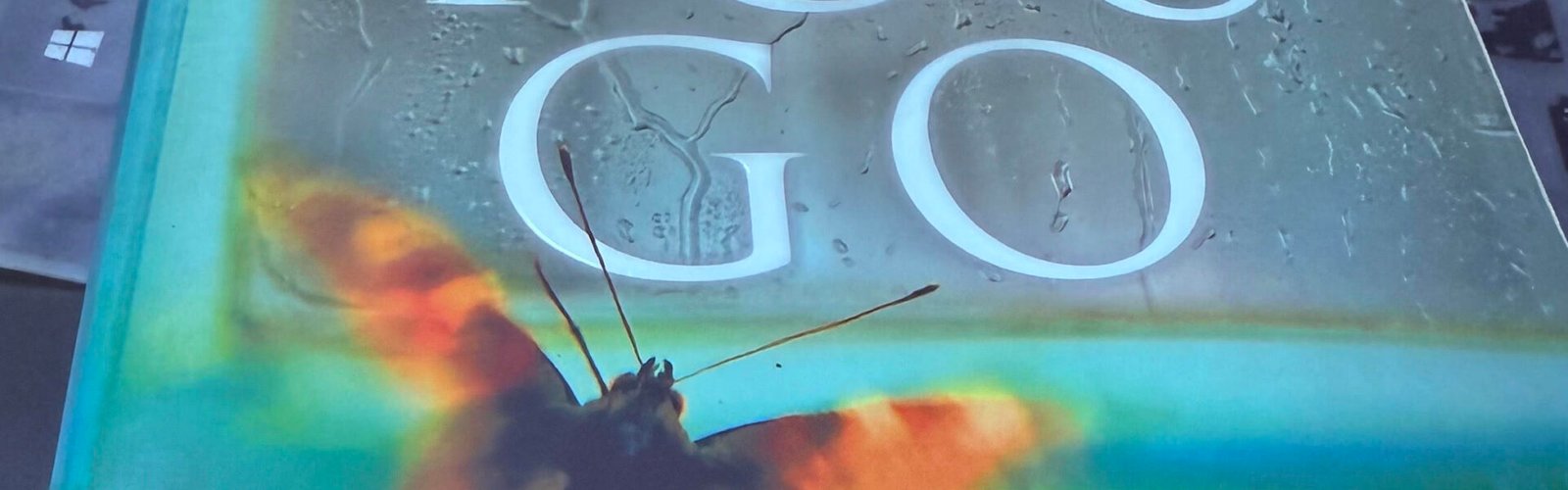 Clare Mackintosh: Biography & Review of I Let You Go